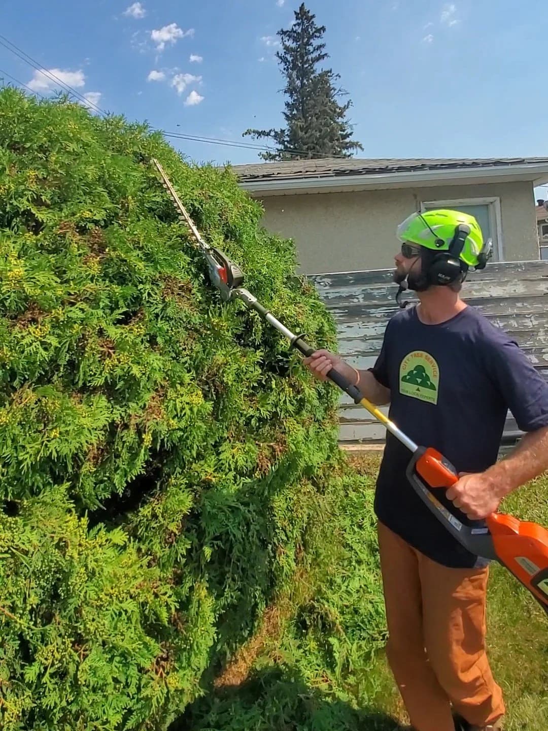 Edmonton tree bylaw documentation