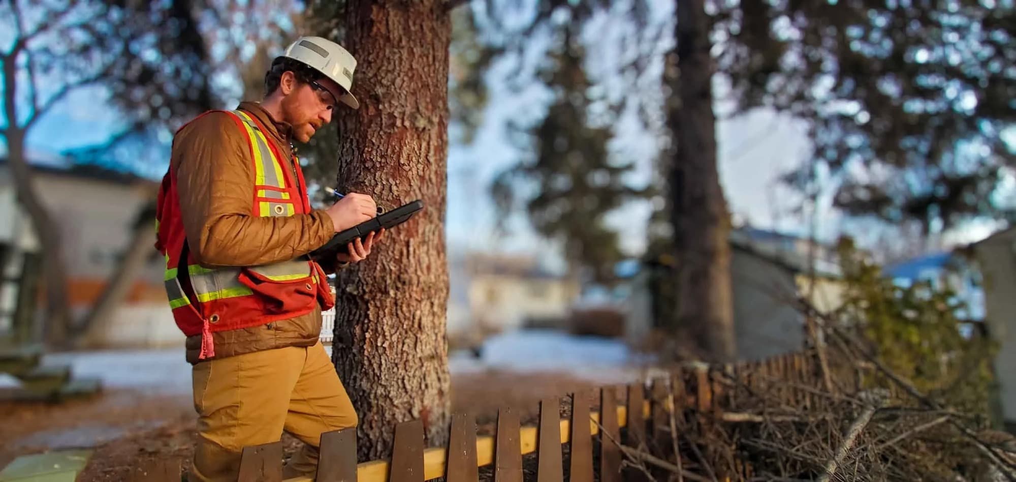 ISA Board Certified Master Arborist conducting a tree protection assessment on an Edmonton construction site