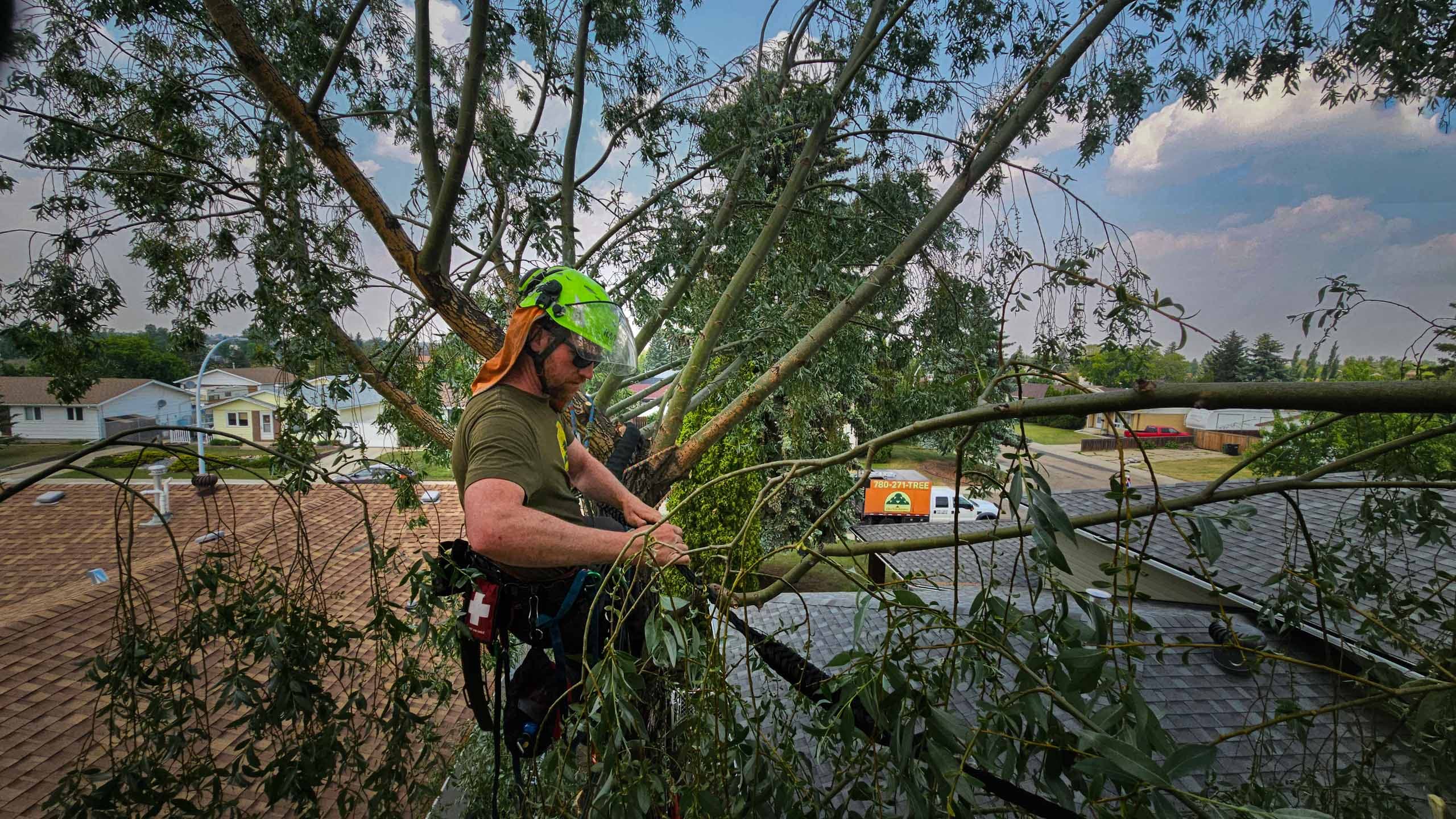 Jordan, Owner & ISA Arborist