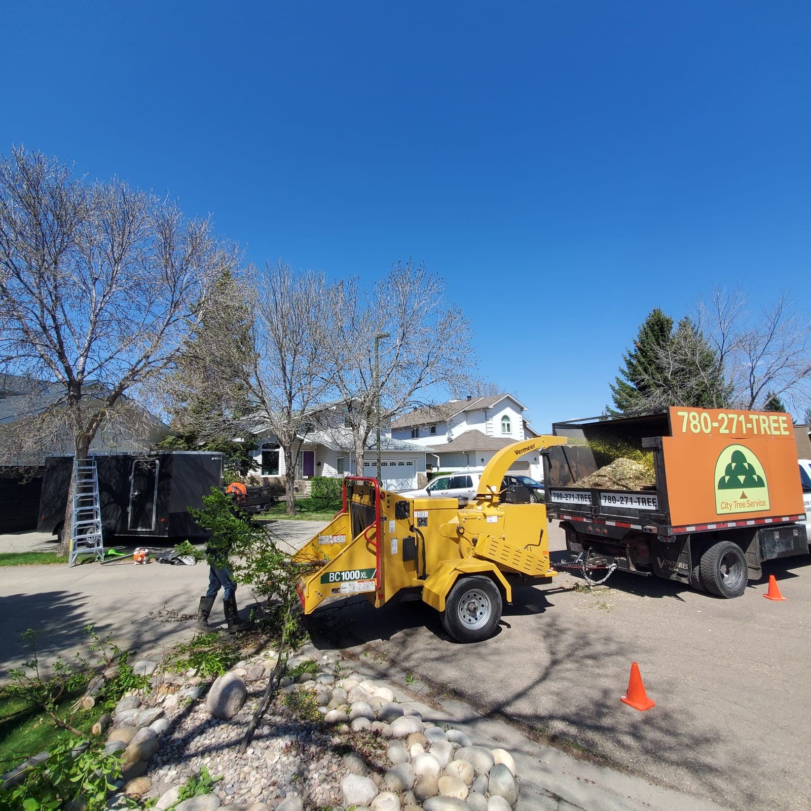 City Tree Service crew responding to storm-damaged tree in Edmonton residential area