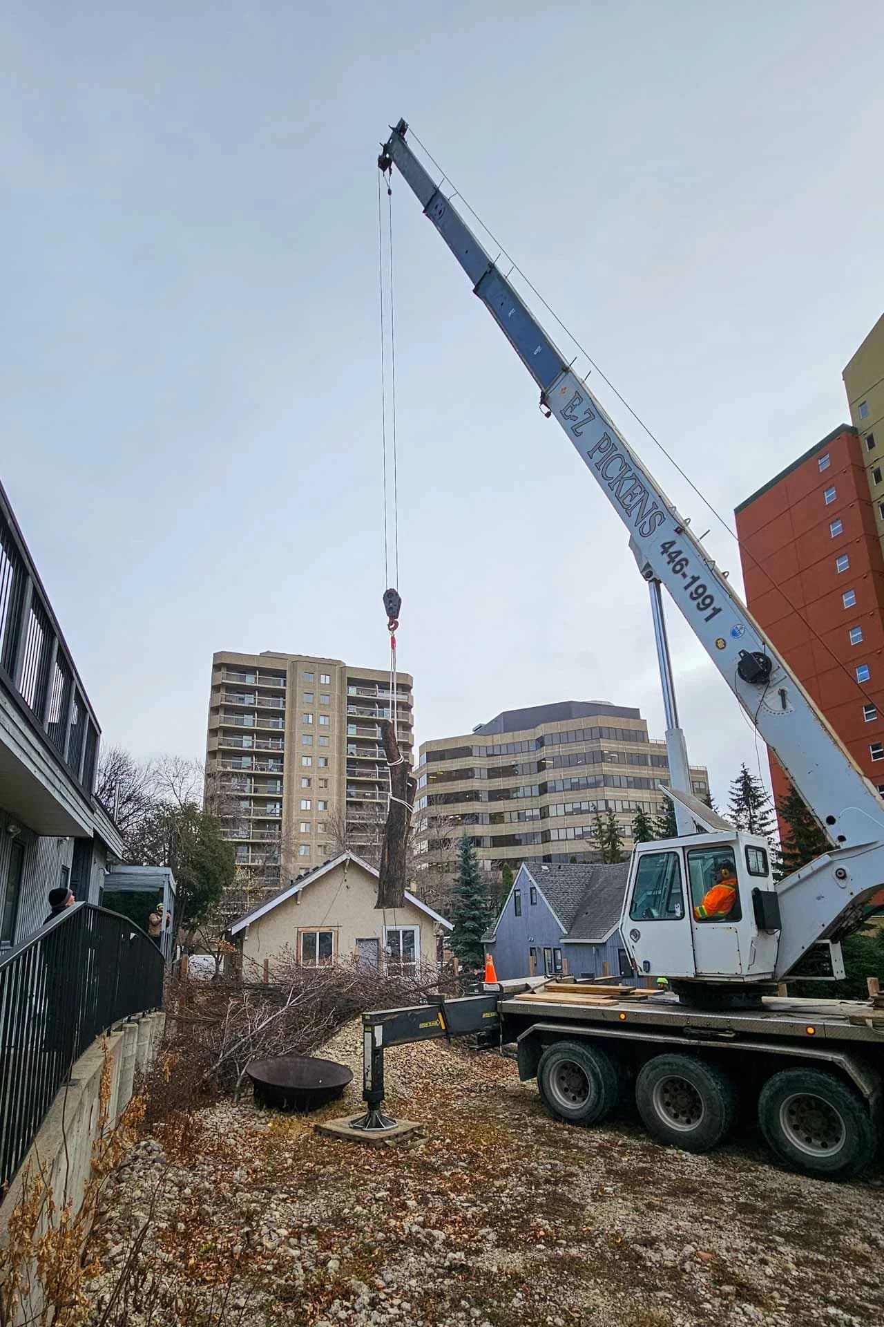 Crew completing tree work in central Edmonton
