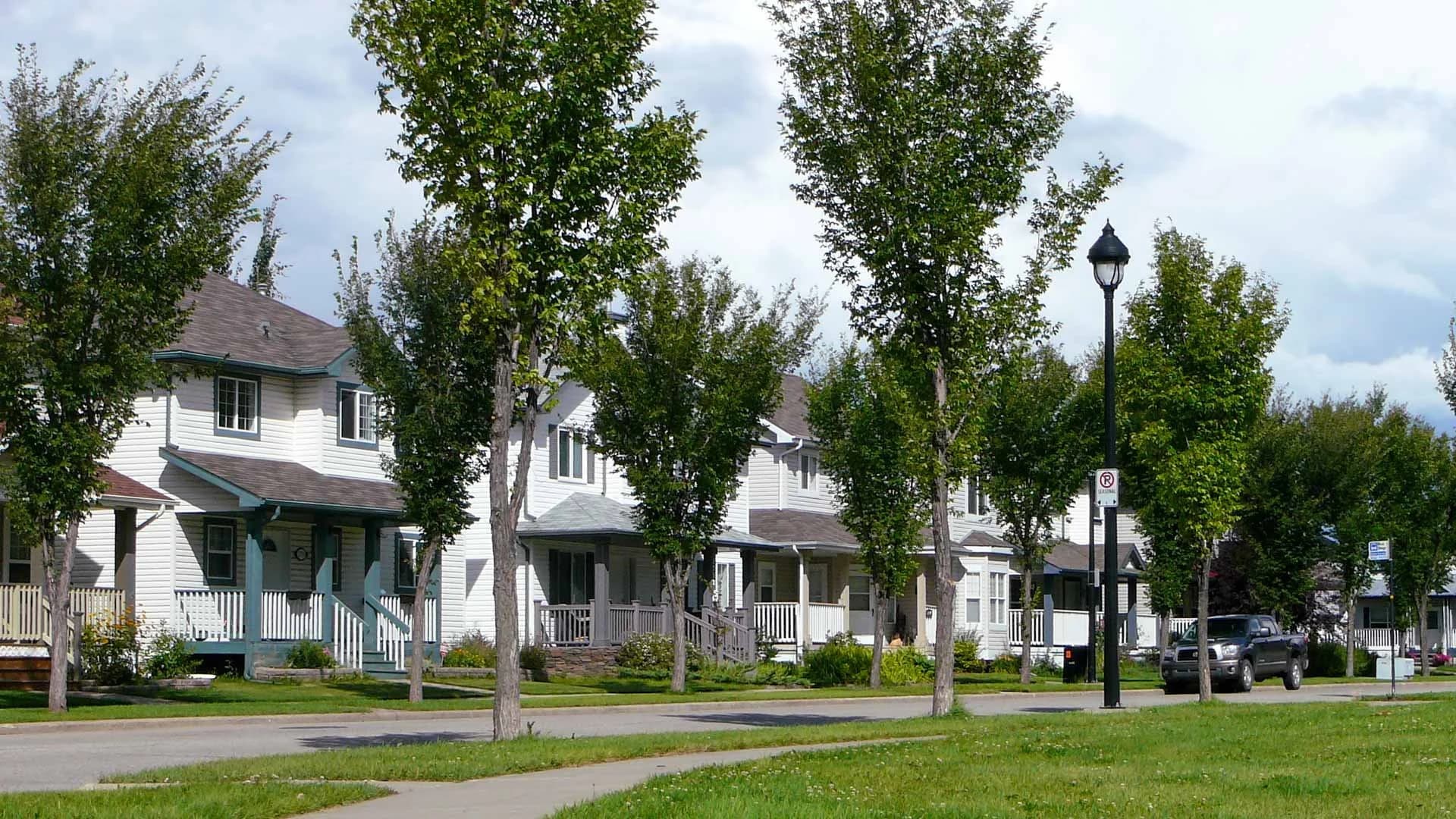 Residential street with mature trees in Terwillegar Towne, Edmonton