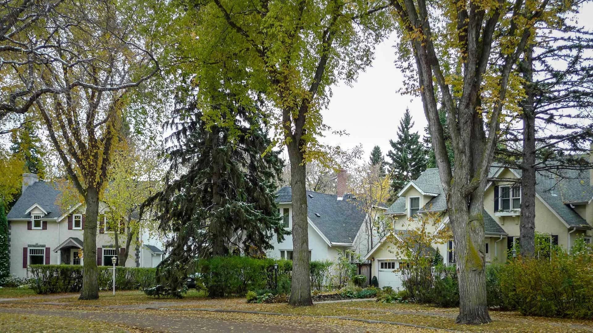 Mature residential street in Glenora, Edmonton