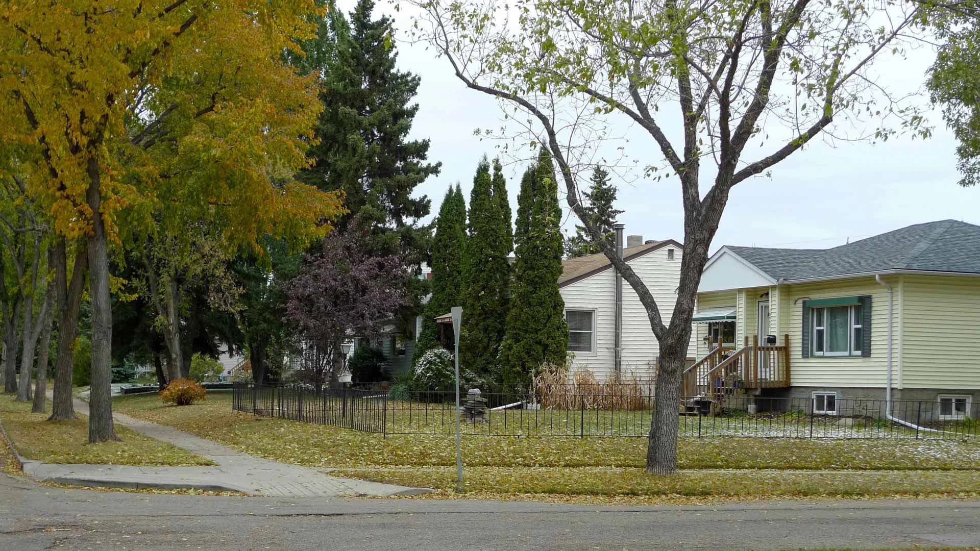 Tree-lined residential street in Westmount, Edmonton