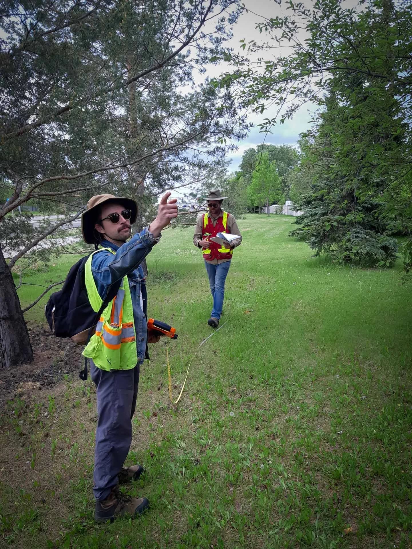 City Tree Service consulting team conducting a land survey in Edmonton