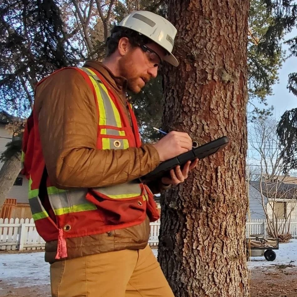On-site arborist consultation in central Edmonton