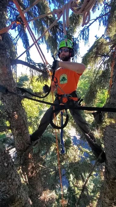 Andy, Owner & Master Arborist