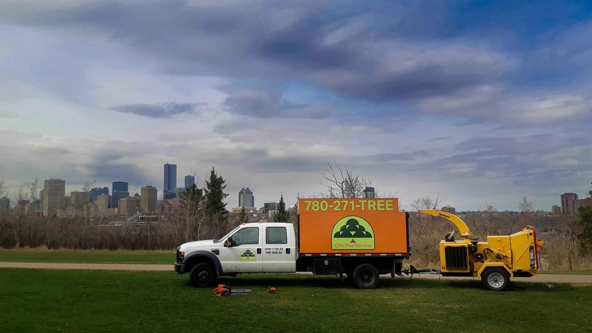 ISA-certified arborist climbing a mature tree in Edmonton
