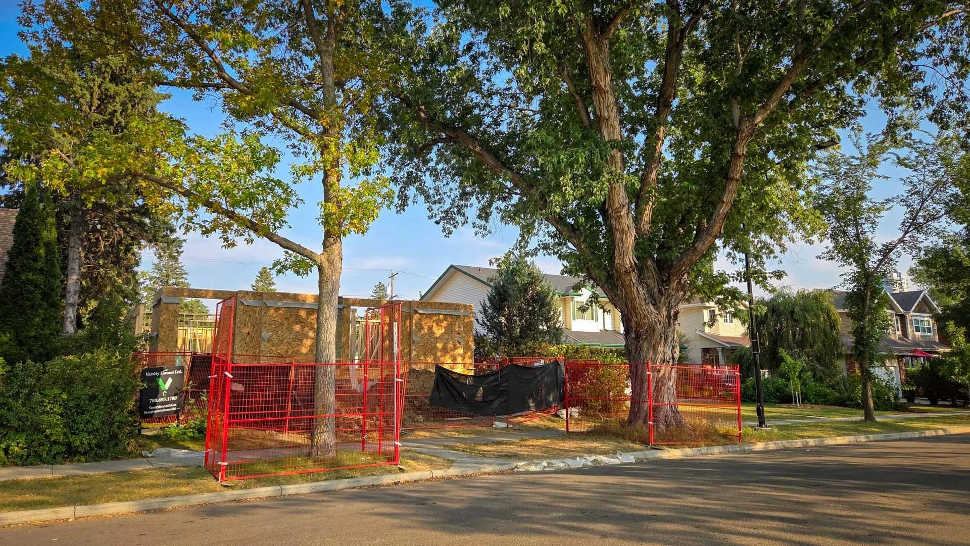 Infill Housing & Tree Preservation: A Growing Concern