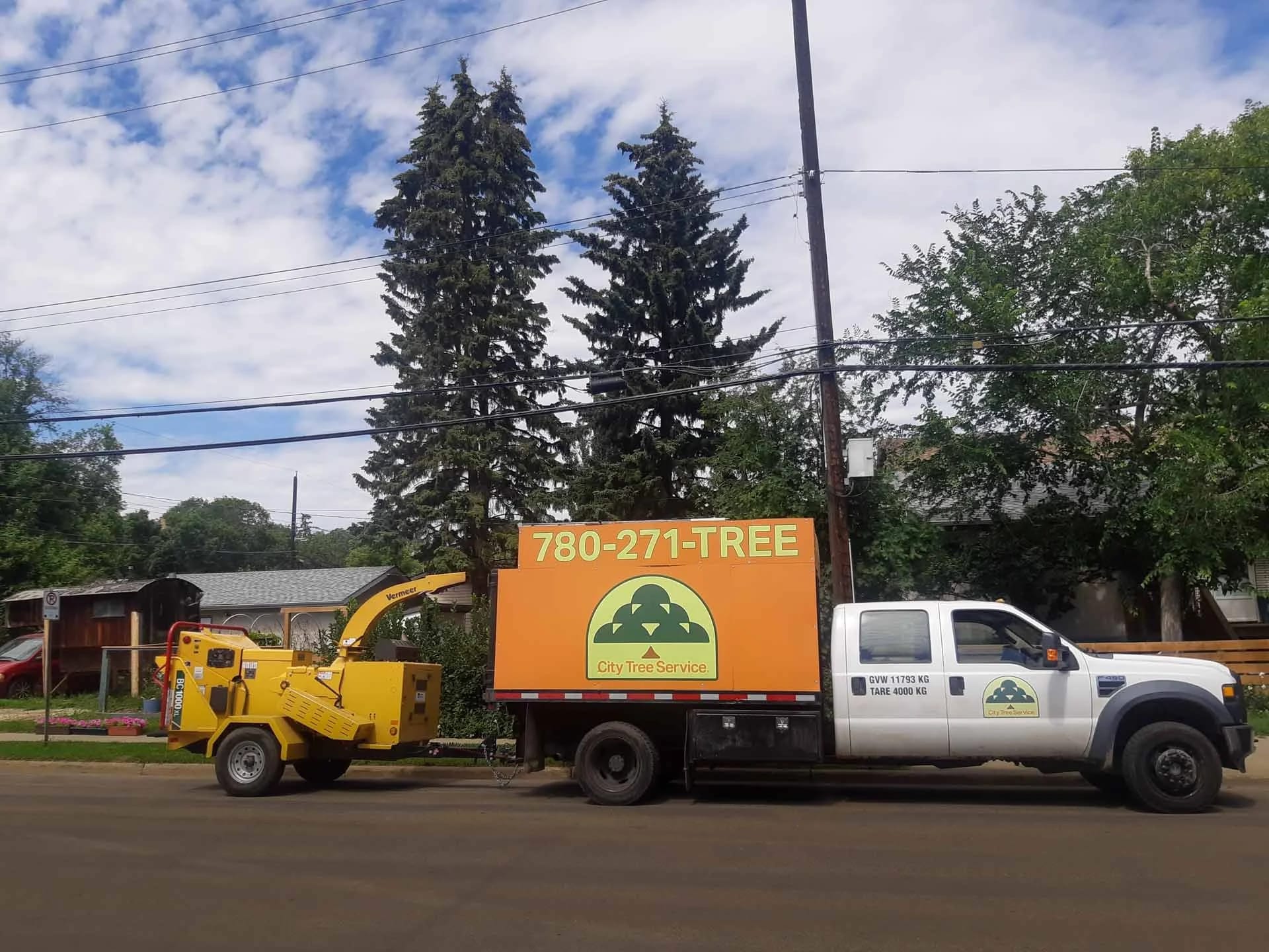 How Soon Can an Arborist Come Out in Edmonton?
