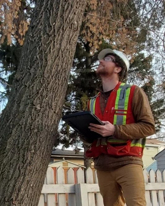 Our Expert Arborist Consultants are here for your next Infrastructure Project.