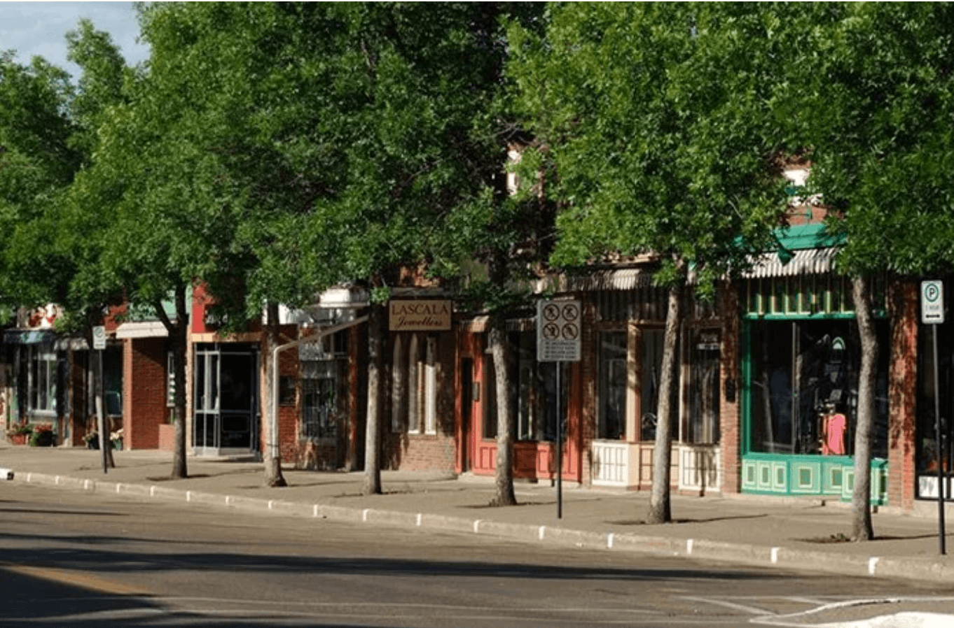 Commercial Property Tree Care 101: A Guide for Edmonton Businesses