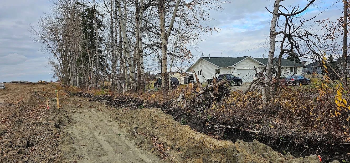 Trench dug along a row of mature trees in an Edmonton development, showing soil disturbance and root zone damage during construction