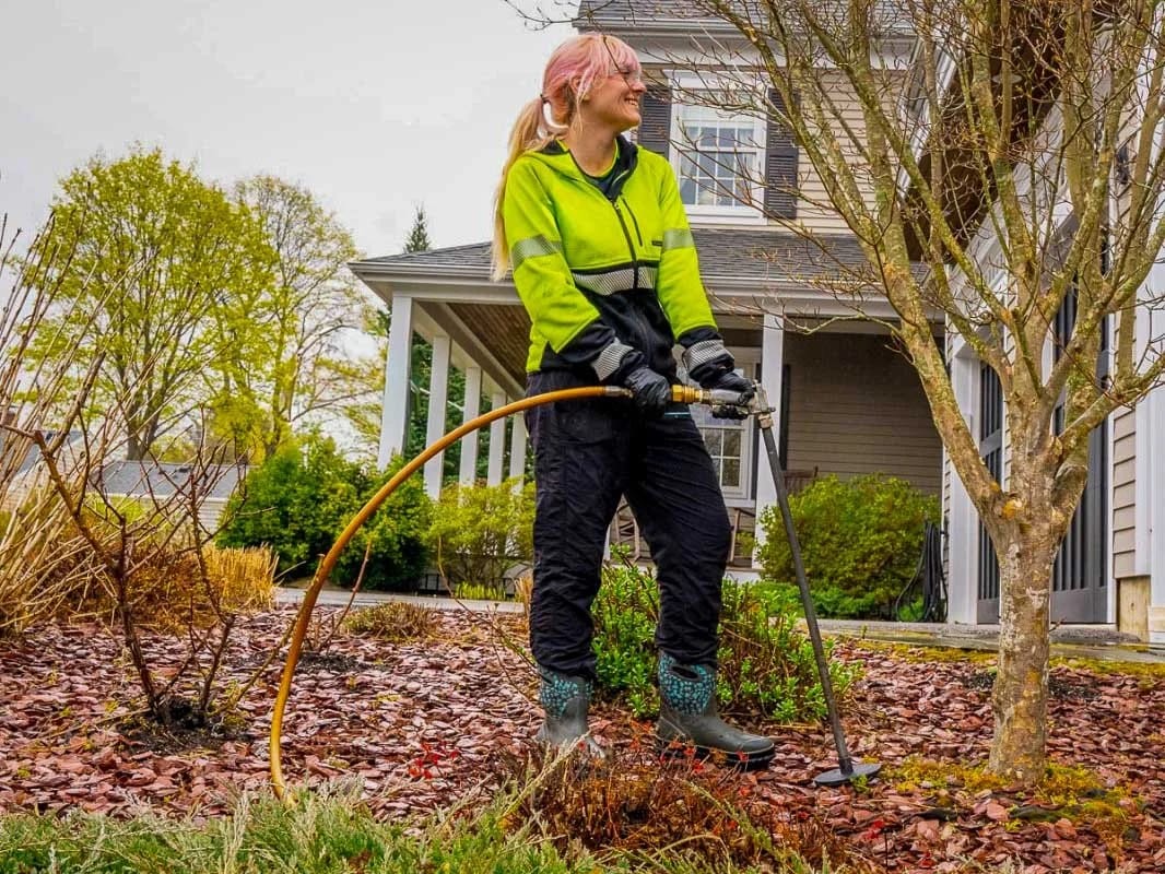 Do I Need to Fertilize My Trees?