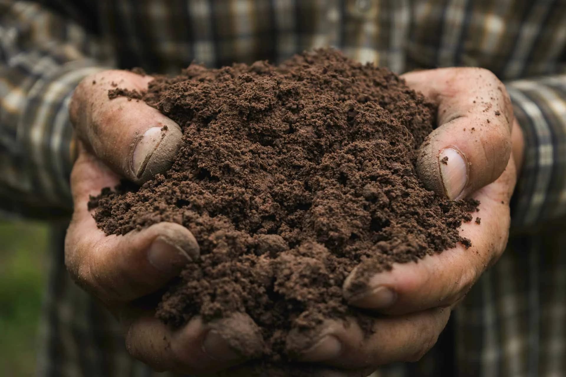 Hands holding rich, healthy soil, representing strong root systems and healthy tree growth in Edmonton landscapes.