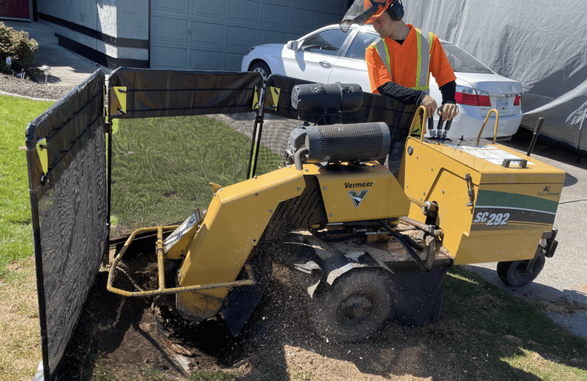 Stump Grinding in Edmonton: How It Works · City Tree Service
