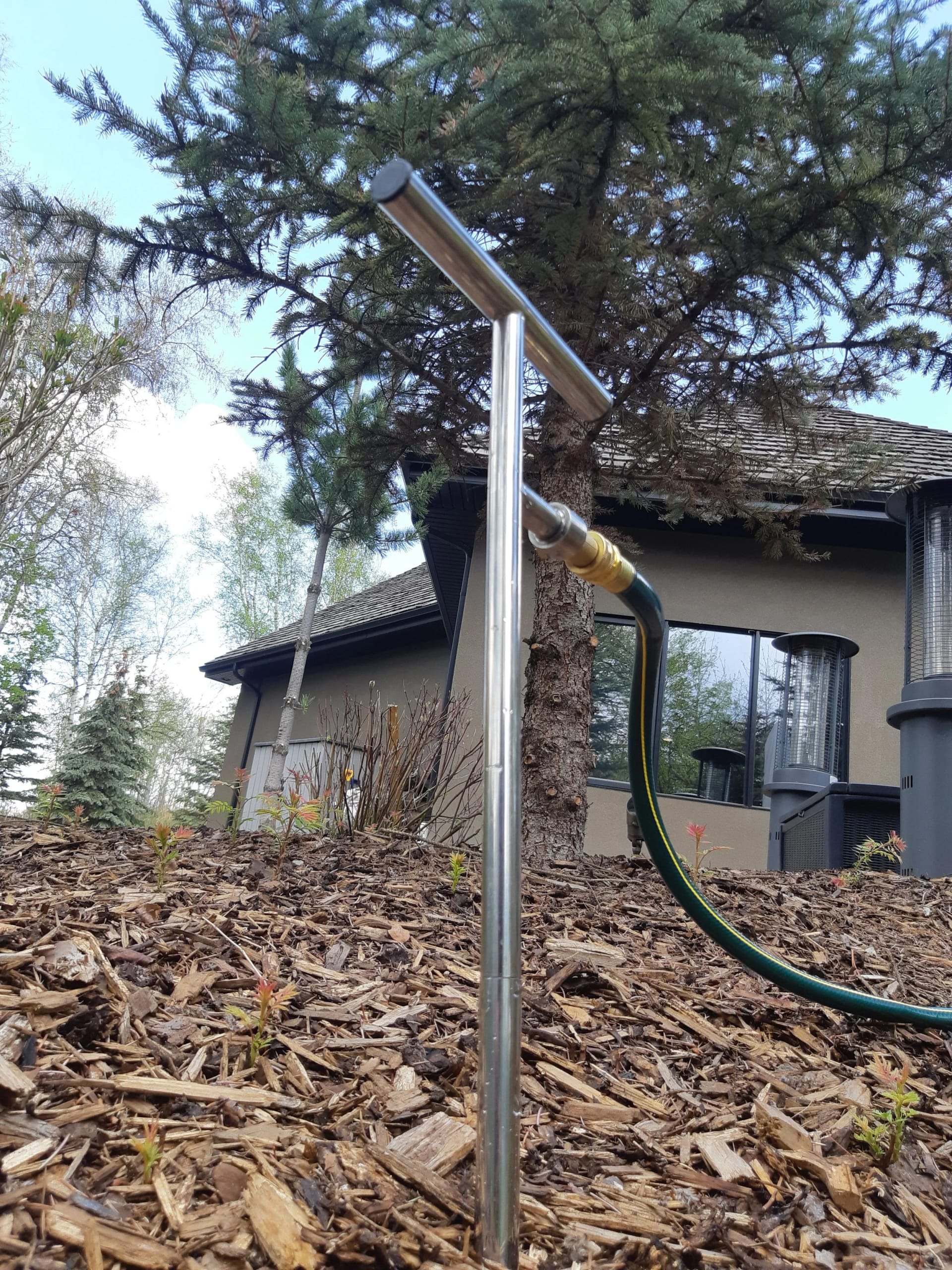 Tree care work in an Edmonton yard